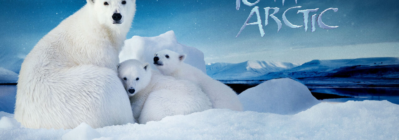 Phim Hành Trình Đến Bắc Cực HD Vietsub To the Arctic
