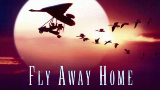 Phim CHẮP CÁNH BAY XA HD Vietsub Fly Away Home