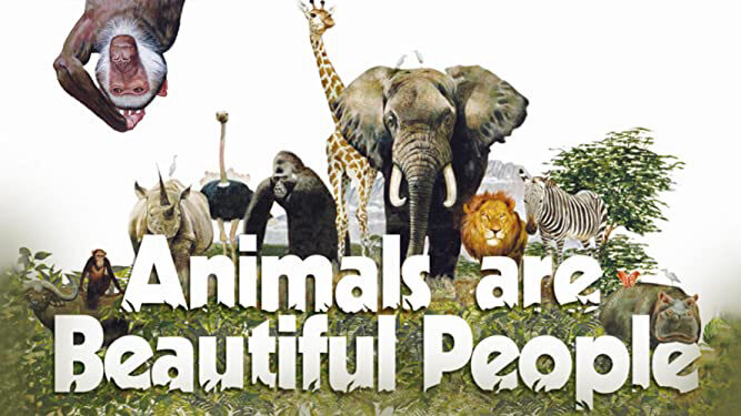 Phim Thế Giới Loài Vật Sống Động - Animals Are Beautiful People HD Vietsub