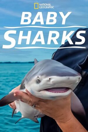 Phim Cá Mập Con - Baby Sharks HD Vietsub