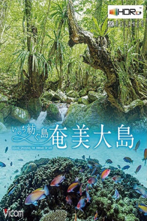 Xem Phim Đảo Amami Oshima full HD Vietsub-Amami Ashima Island