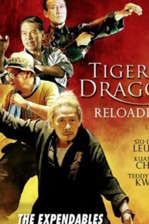 Phim Đả Lôi Đài HD Vietsub Tiger and Dragon Reloaded