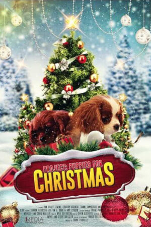 Phim Quà Giáng Sinh Bất Ngờ HD Vietsub Project Puppies for Christmas