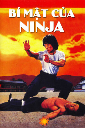 Phim Bí Mật Của Ninja HD Thuyết Minh Ninja Knight 2 Roaring Tiger