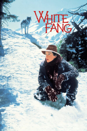 Phim White Fang HD Vietsub White Fang
