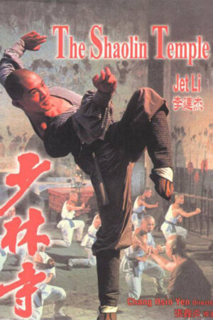 Phim Thiếu Lâm Tự - The Shaolin Temple HD Vietsub