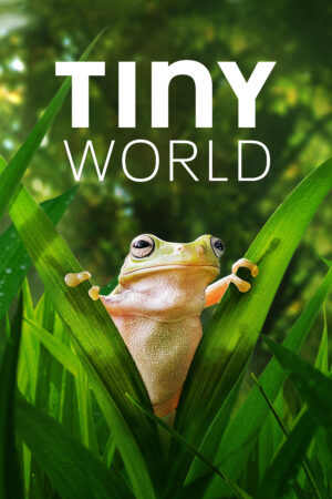 Phim Thế Giới Siêu Nhỏ ( 2) HD Vietsub Tiny World (Season 2)