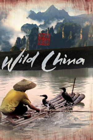 Phim Thiên Nhiên Hoang Dã Trung Quốc - Wild China HD Vietsub