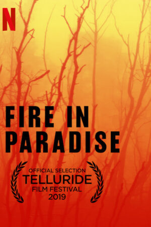 Phim Hỏa hoạn tại Paradise HD Vietsub Fire in Paradise