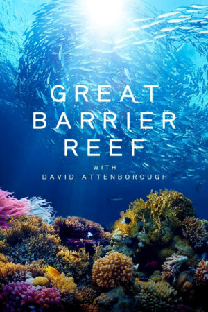 Phim Khám Phá Rạn San Hô Great Barrier cùng David Attenborough HD Vietsub Great Barrier Reef with David Attenborough