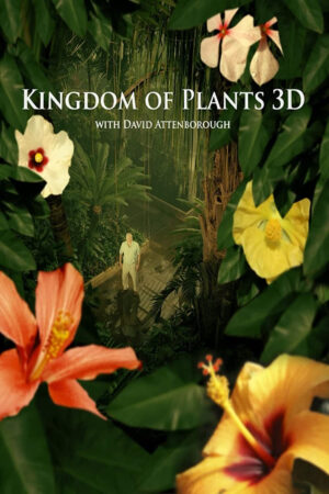 Phim Kingdom of Plants - Kingdom of Plants HD Vietsub