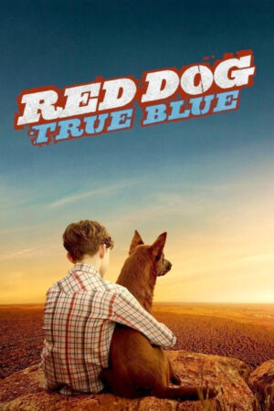 Phim Chú Chó Trung Thành 2 HD Vietsub Red Dog 2 True Blue