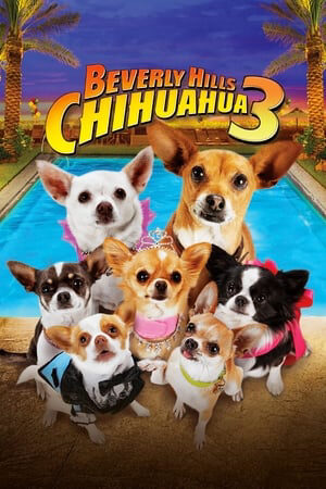 Phim Nữ Minh Tinh Và Chàng Lãng Tử - Beverly Hills Chihuahua 3 Viva La Fiesta Vietsub