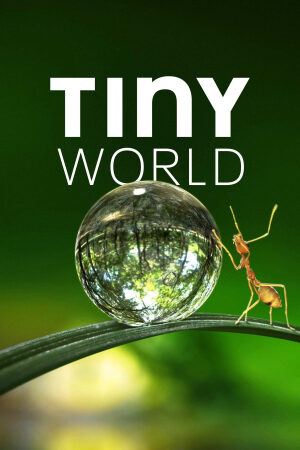 Phim Thế Giới Siêu Nhỏ ( 1) - Tiny World (Season 1) Vietsub