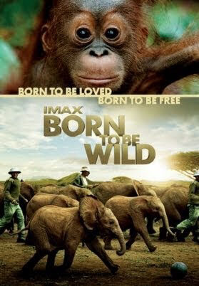 Phim Những Loài Vật Mồ Côi HD Vietsub Born to Be Wild